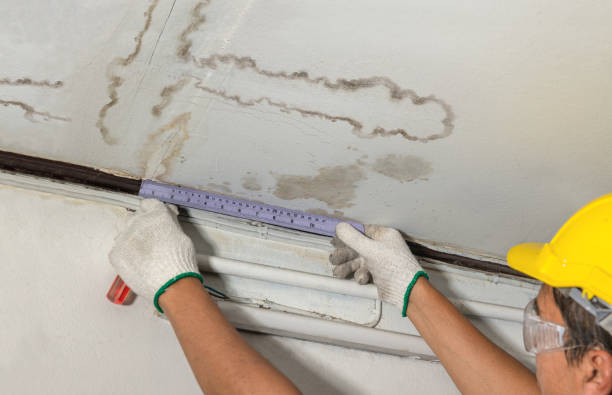 Reliable Burst Pipe Cleanup contractor in Douglas, WY by Water Damage Irwin